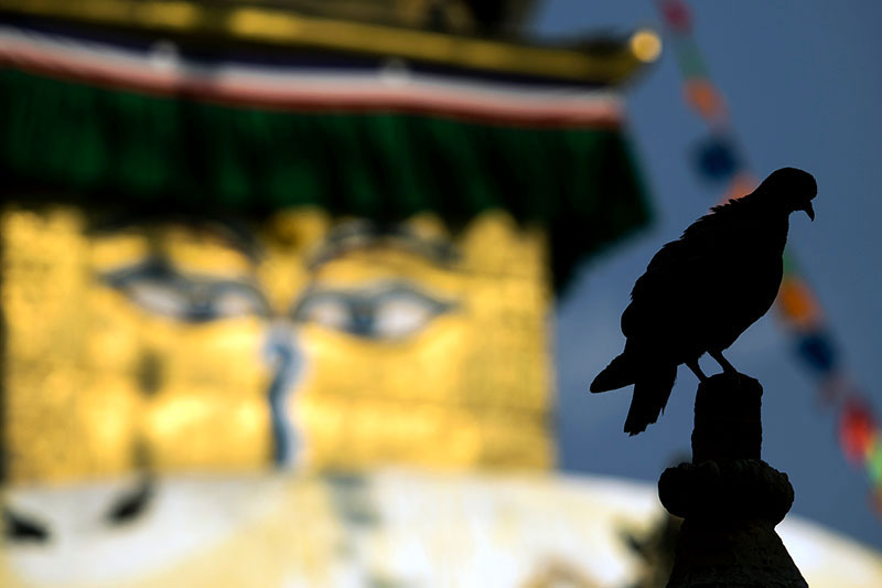 Tanrılar Diyarına Seyahat; Nepal