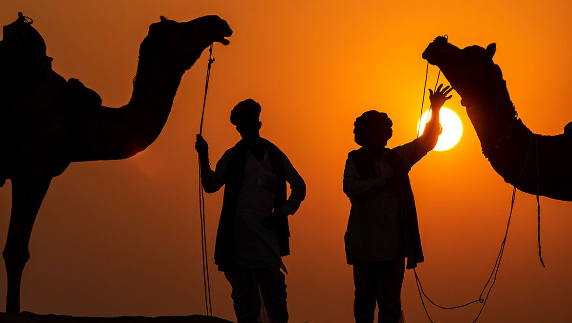 Bir Rajasthan Görsel Masalı: Pushkar Deve Panayırı
